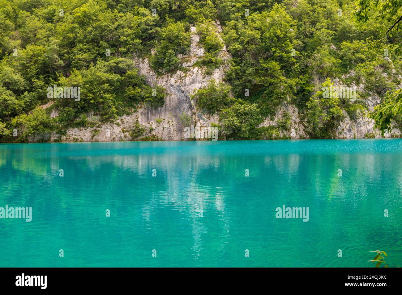 Laghi blu perlescenti di Plitvice Croazia Foto Stock