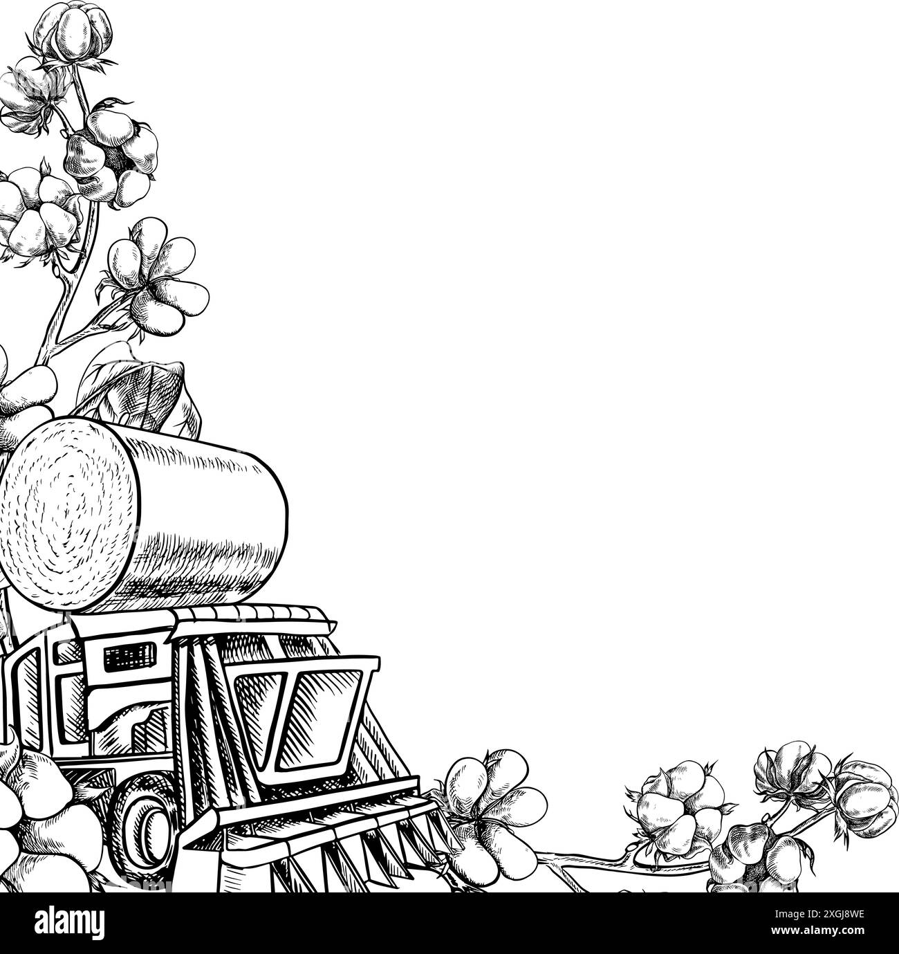 Un telaio con cotone e una raccoglitrice di cotone. Illustrazione grafica vettoriale in bianco e nero realizzata a mano. Per etichette, confezioni, opuscoli. Per le cartoline, b Illustrazione Vettoriale