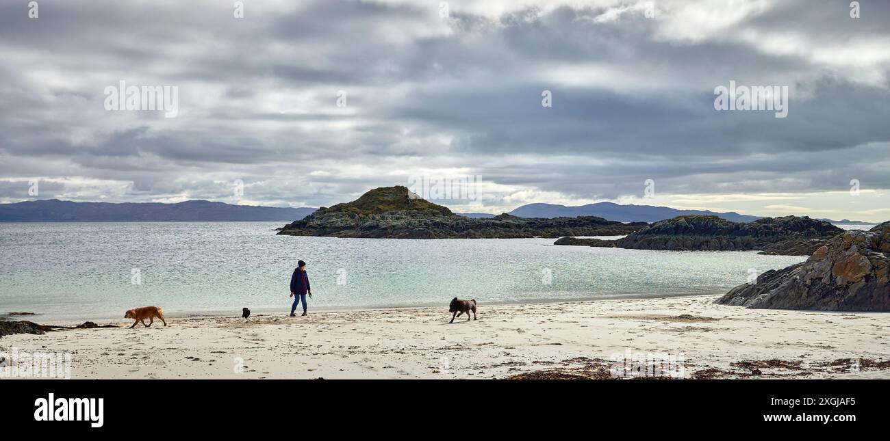 Guardando verso ovest, una donna adulta che fa pratica con 3 cani sulla spiaggia di Rhu, Arisaig, Scozia Foto Stock