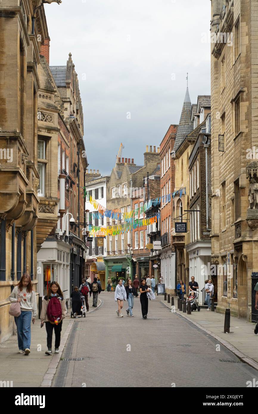 Cambridge è una città sul fiume Cam nell'Inghilterra orientale, sede della prestigiosa Università di Cambridge Foto Stock