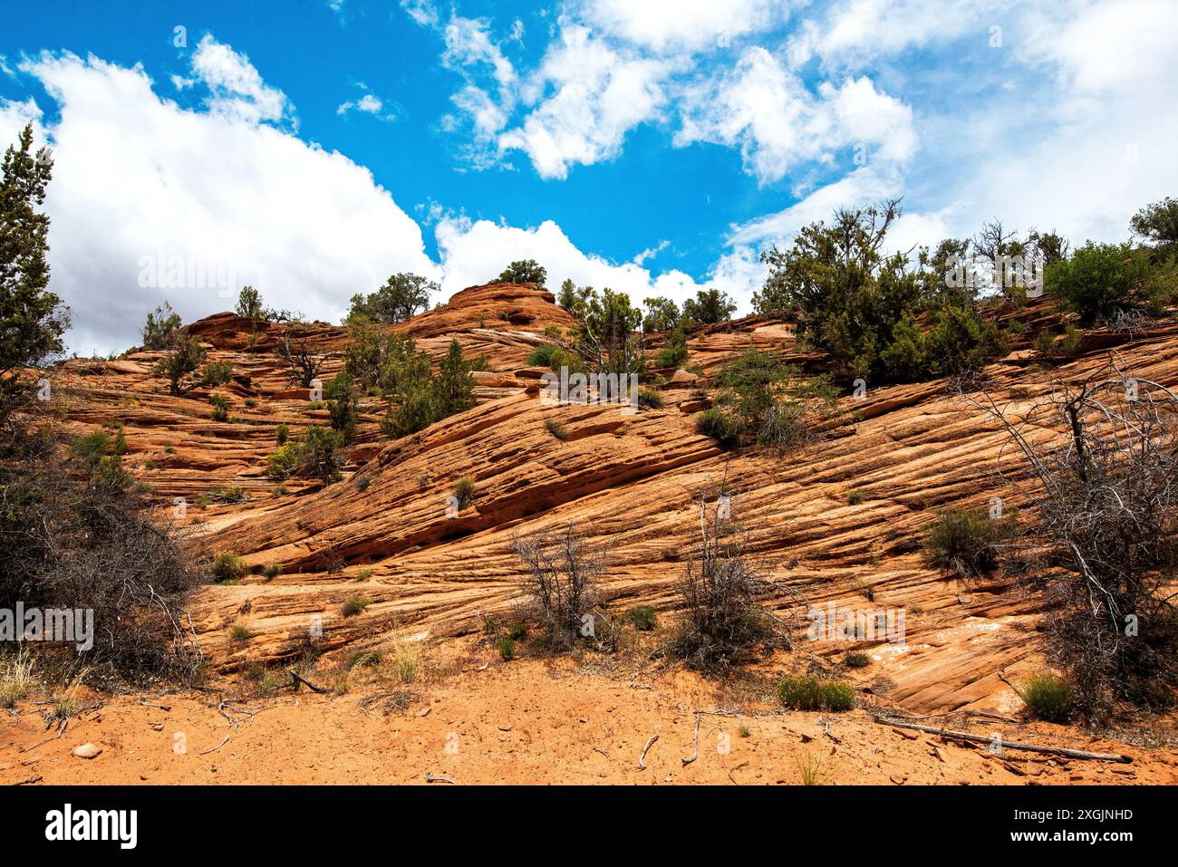 Il Cave Lakes Canyon Ranch offre un'esperienza di soggiorno e gioco unica nel suo genere, con esclusive avventure in loco, Kanab, Utah Foto Stock