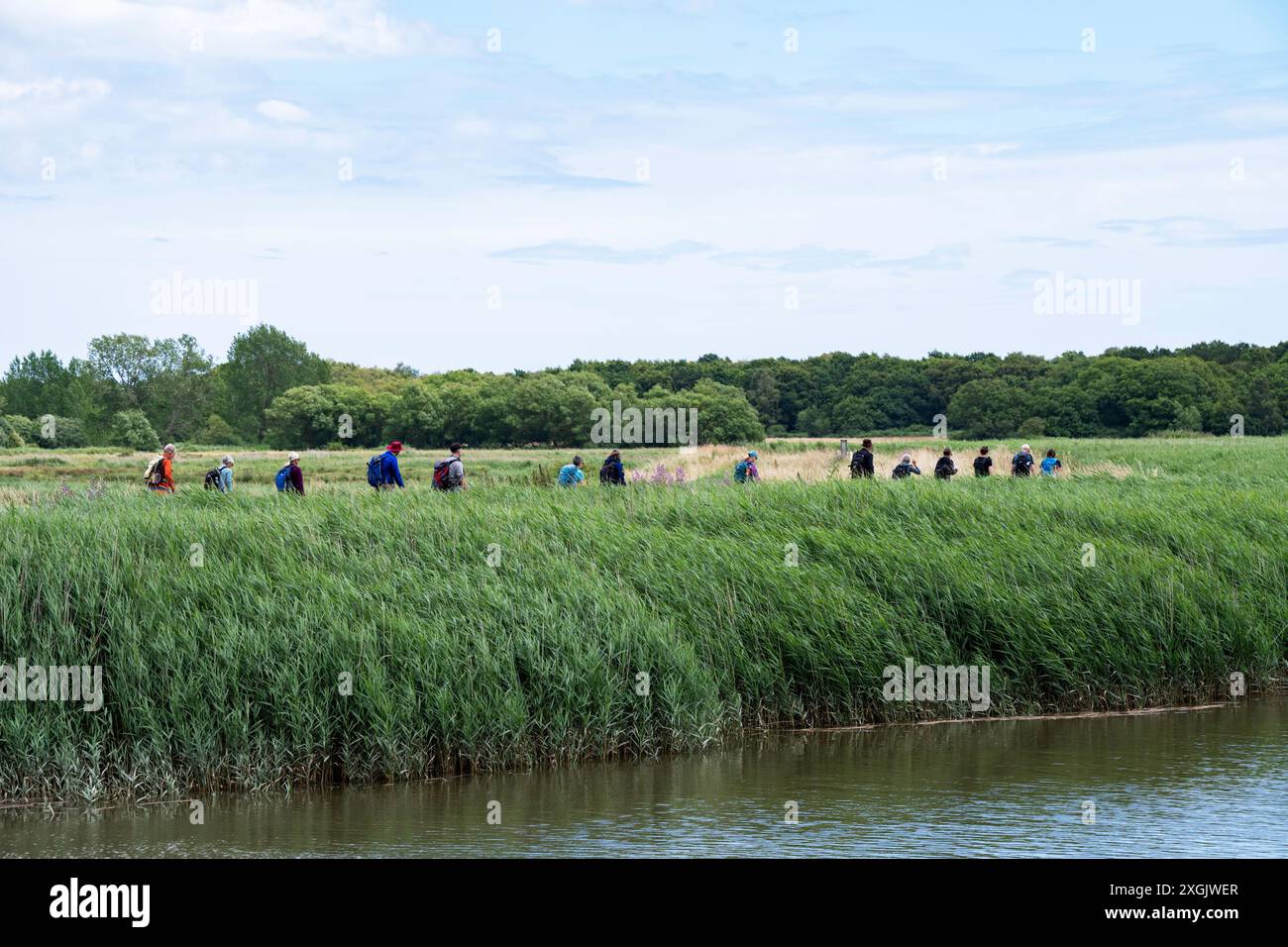 Da Snape a Aldeburgh Footpath, Suffolk, Regno Unito Foto Stock