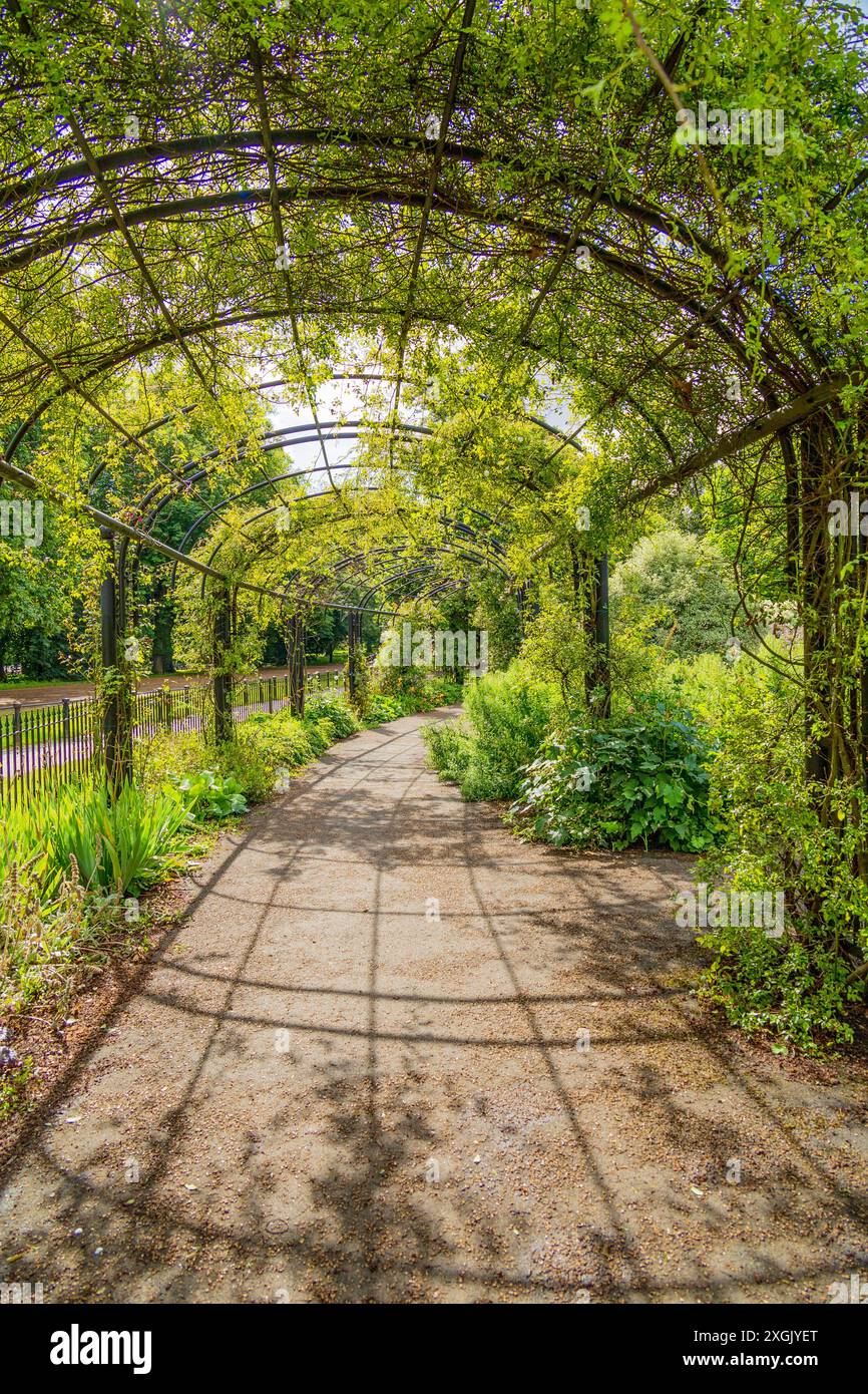Splendido arco e pergolato con fogliame e piante cresciute e sopra la cima. Passerella pavimentata che conduce in lontananza. Foto Stock