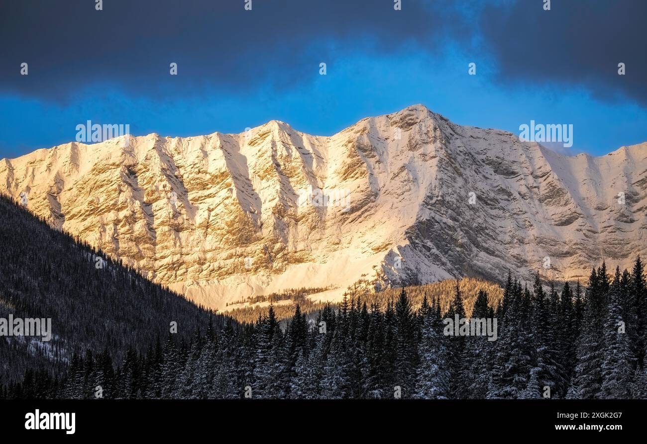 Le maestose cime di montagna ricoperte di neve sono inondate di luce dorata, creando una scena mozzafiato di splendore invernale Foto Stock