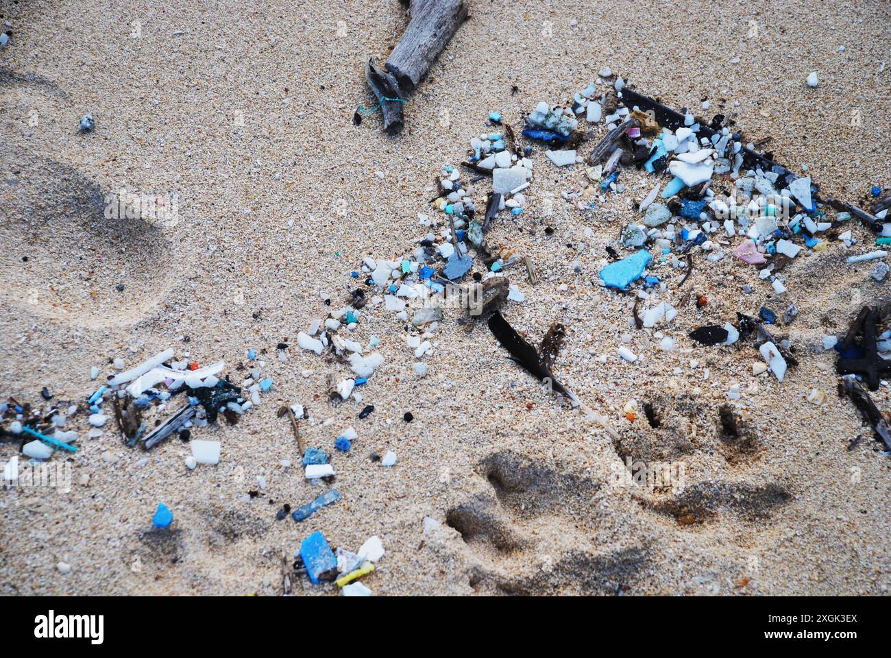 Spazzatura di plastica sulla spiaggia di sabbia di Oahu, Hawaii, Stati Uniti Foto Stock