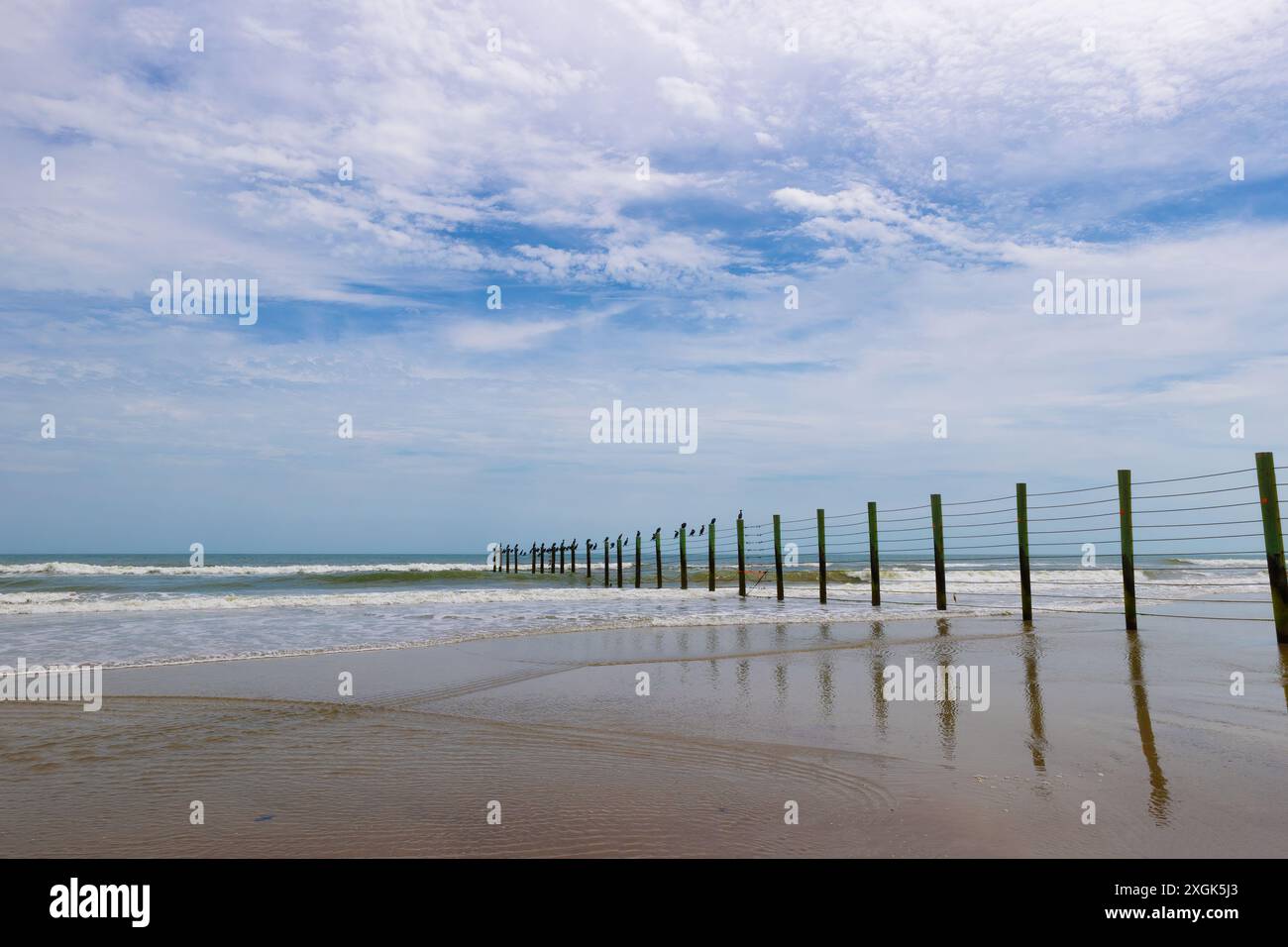 Recinzione a cavallo lungo la spiaggia a 4 ruote a Corolla, Outer Banks, North Carolina, Stati Uniti Foto Stock