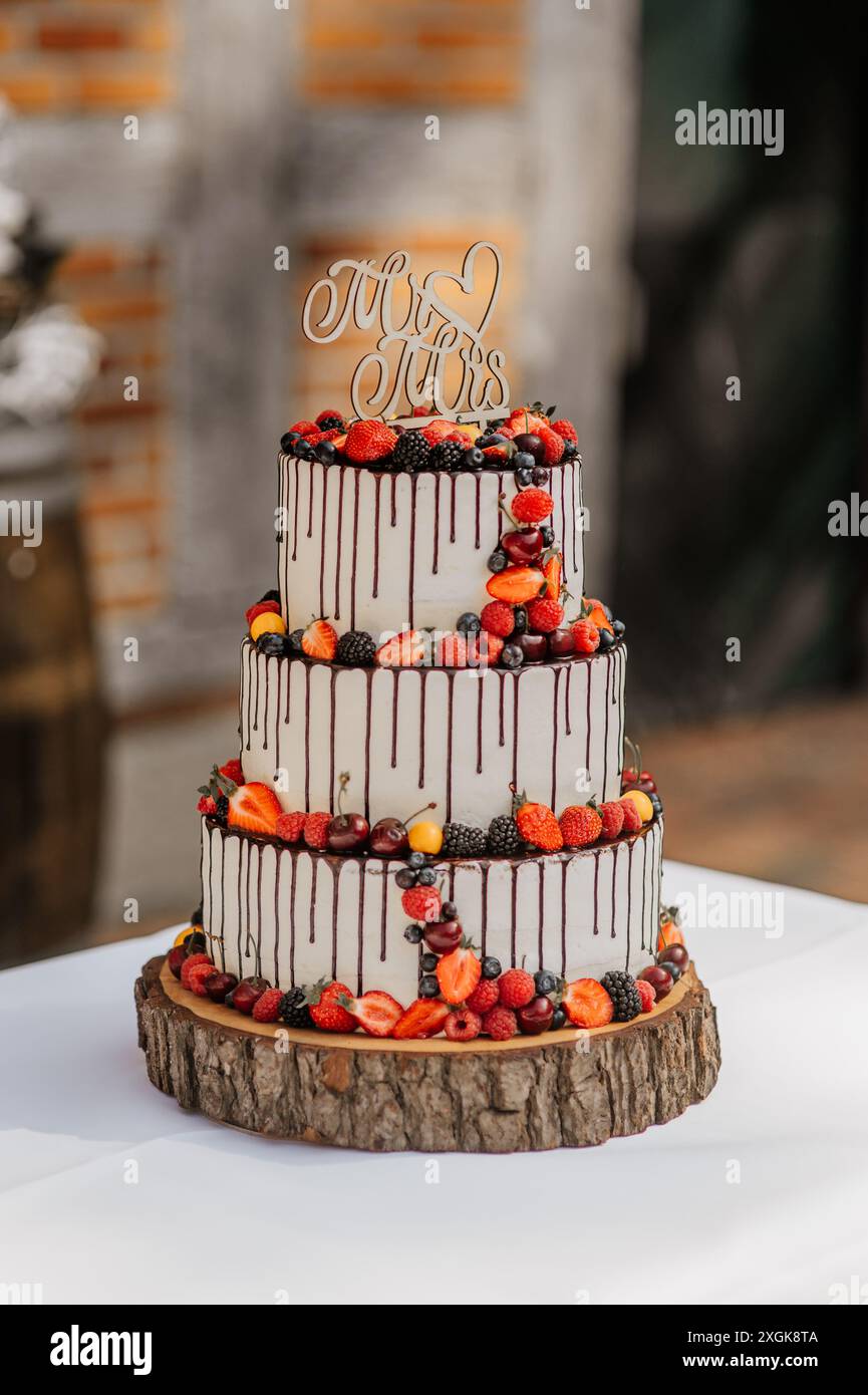 Torta nozze - Hochzeitstorte mit Schokolade und Früchten, Sig.+Sig.ra Stecker und Hintergrund auf Holzscheibe, Stil d'epoca Foto Stock