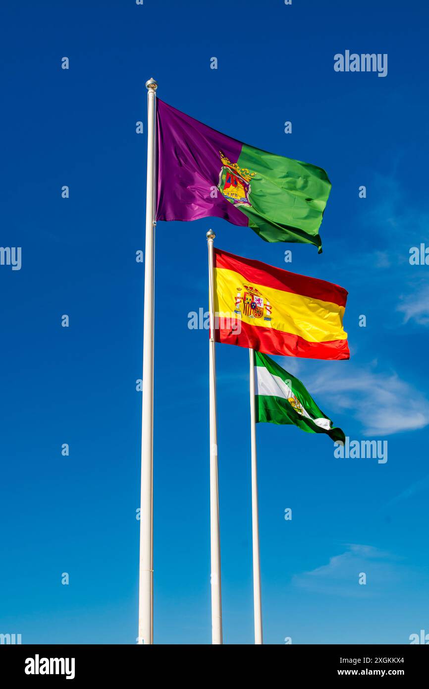 Malaga, Andalusia e le bandiere nazionali all'Alcazaba e al Castello di Gibralfaro sul Monte Malaga sopra la città vecchia, malaga, spagna. Foto Stock