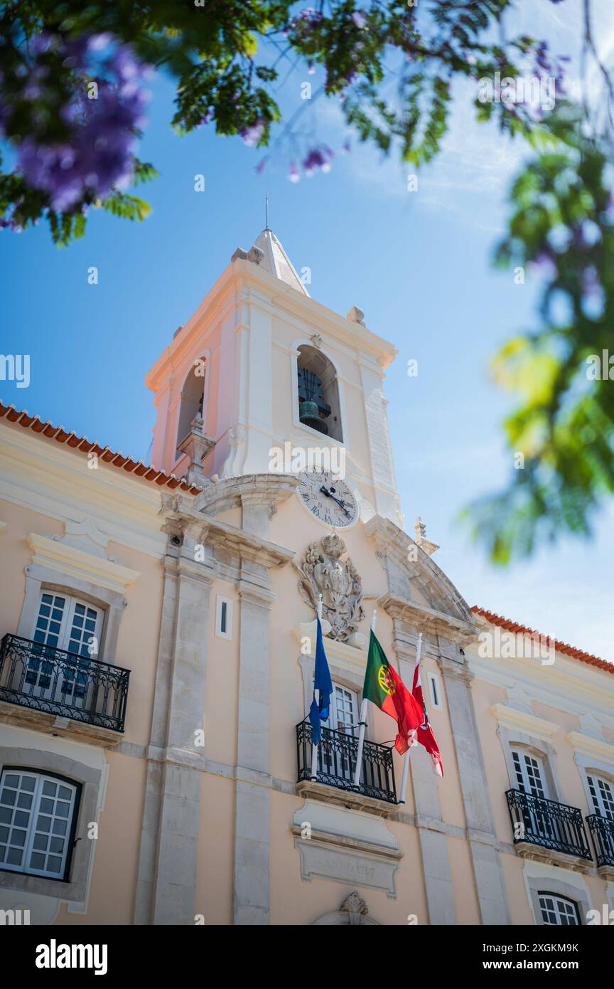 Municipio di Aveiro, Portogallo Foto Stock