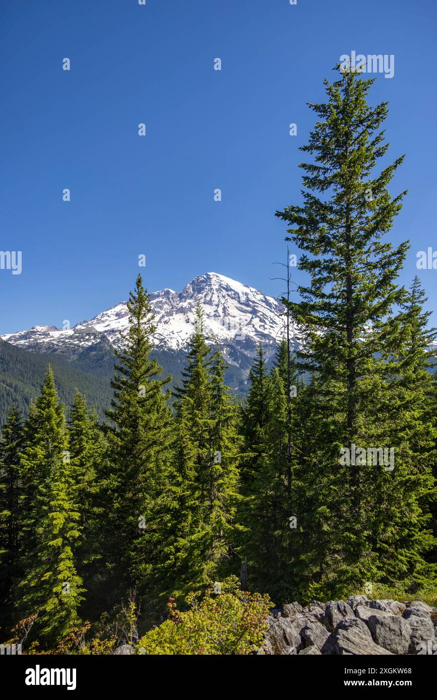 Mount Rainier dal Rampart Ridge Hiking Trail, Mount Rainier National Park, Washington State, USA Foto Stock