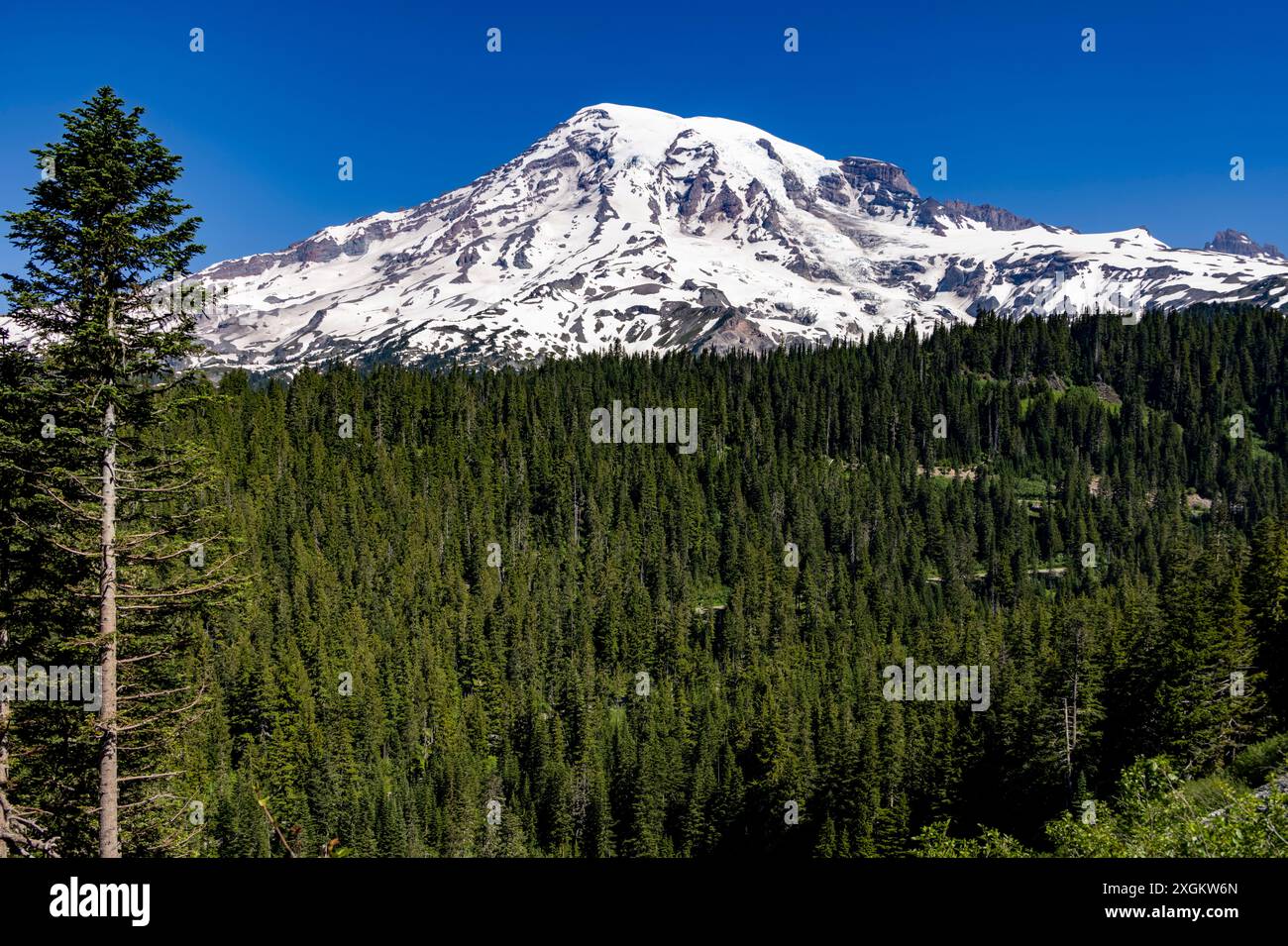 Mount Rainier dal punto panoramico vicino a Paradise Inn, Mount Rainier National Park, Washington State, USA Foto Stock