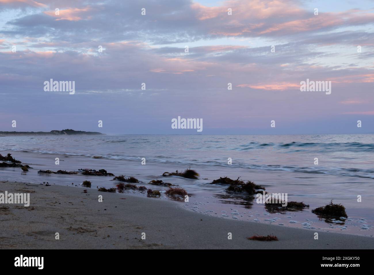 Alghe bagnate a terra sotto un cielo colorato - Torquay, Victoria, Australia Foto Stock