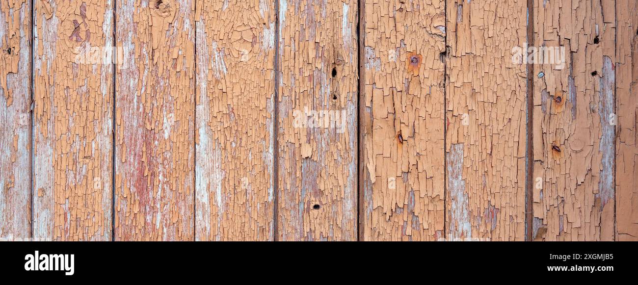 vecchie tavole di legno con vernice beige rosa marroni sbucciate e chiodi arrugginiti su capannoni deserti Foto Stock