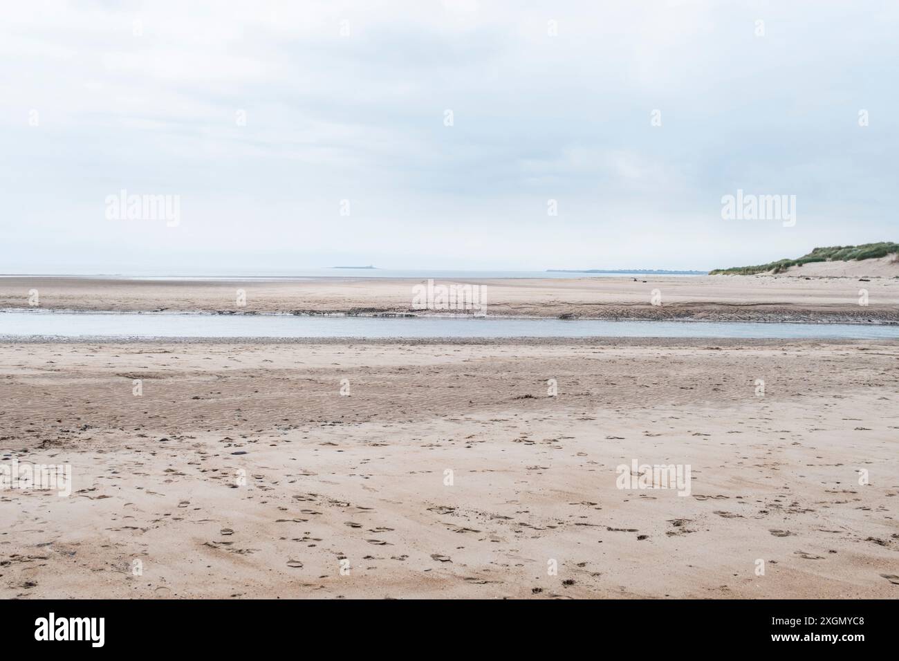 Spiaggia deserta nel Northumberland con coppia e cane Foto Stock