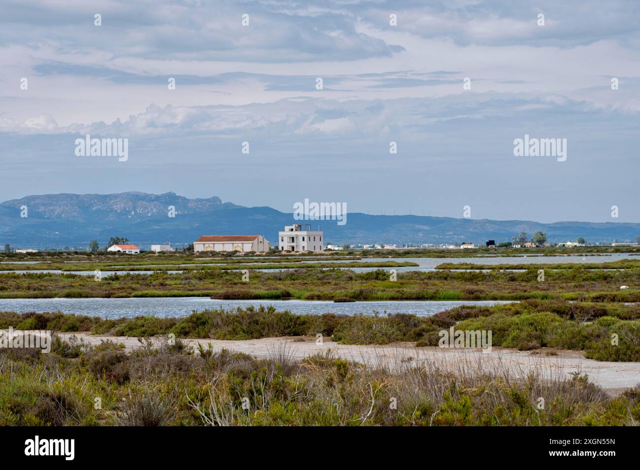 Paesaggio nella regione del Delta dell'Ebro nella provincia di Tarragona in Catalogna Spagna Foto Stock