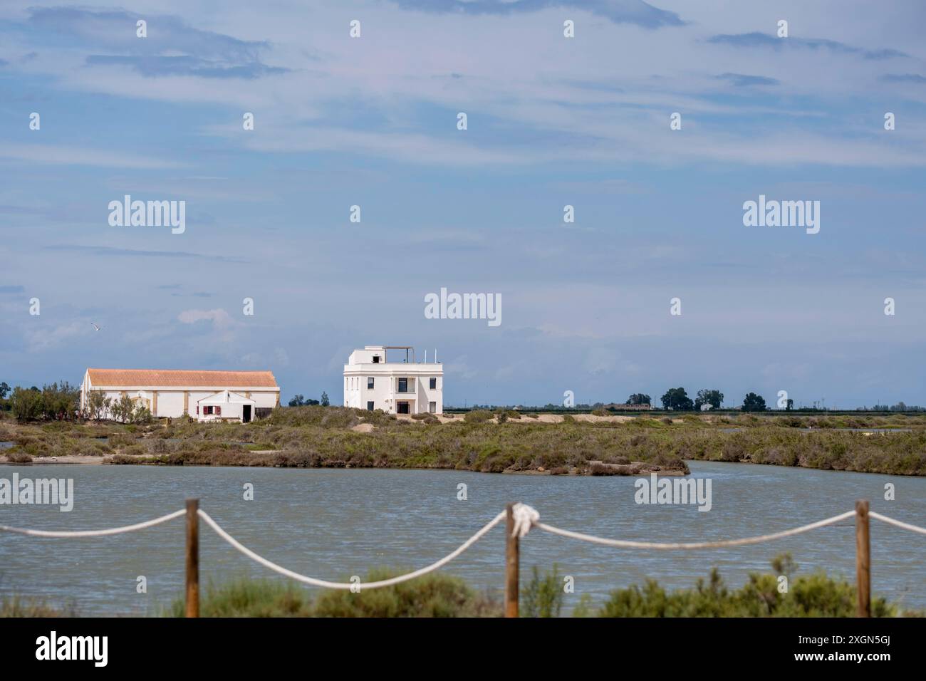 Paesaggio nella regione del Delta dell'Ebro nella provincia di Tarragona in Catalogna Spagna Foto Stock
