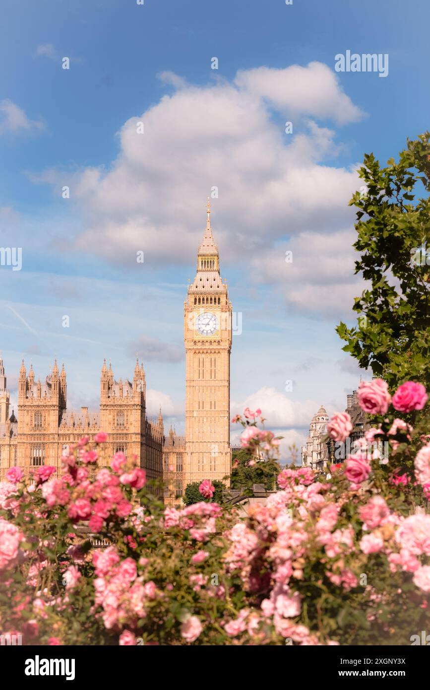 Big Ben Photography con Rose Garden Foto Stock