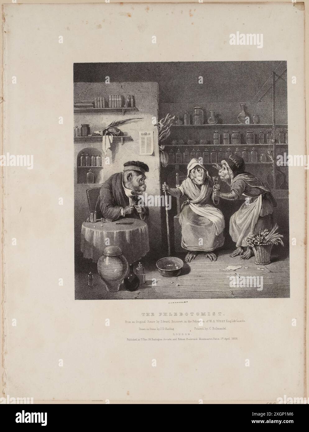 Harding, James Duffield Foto Stock