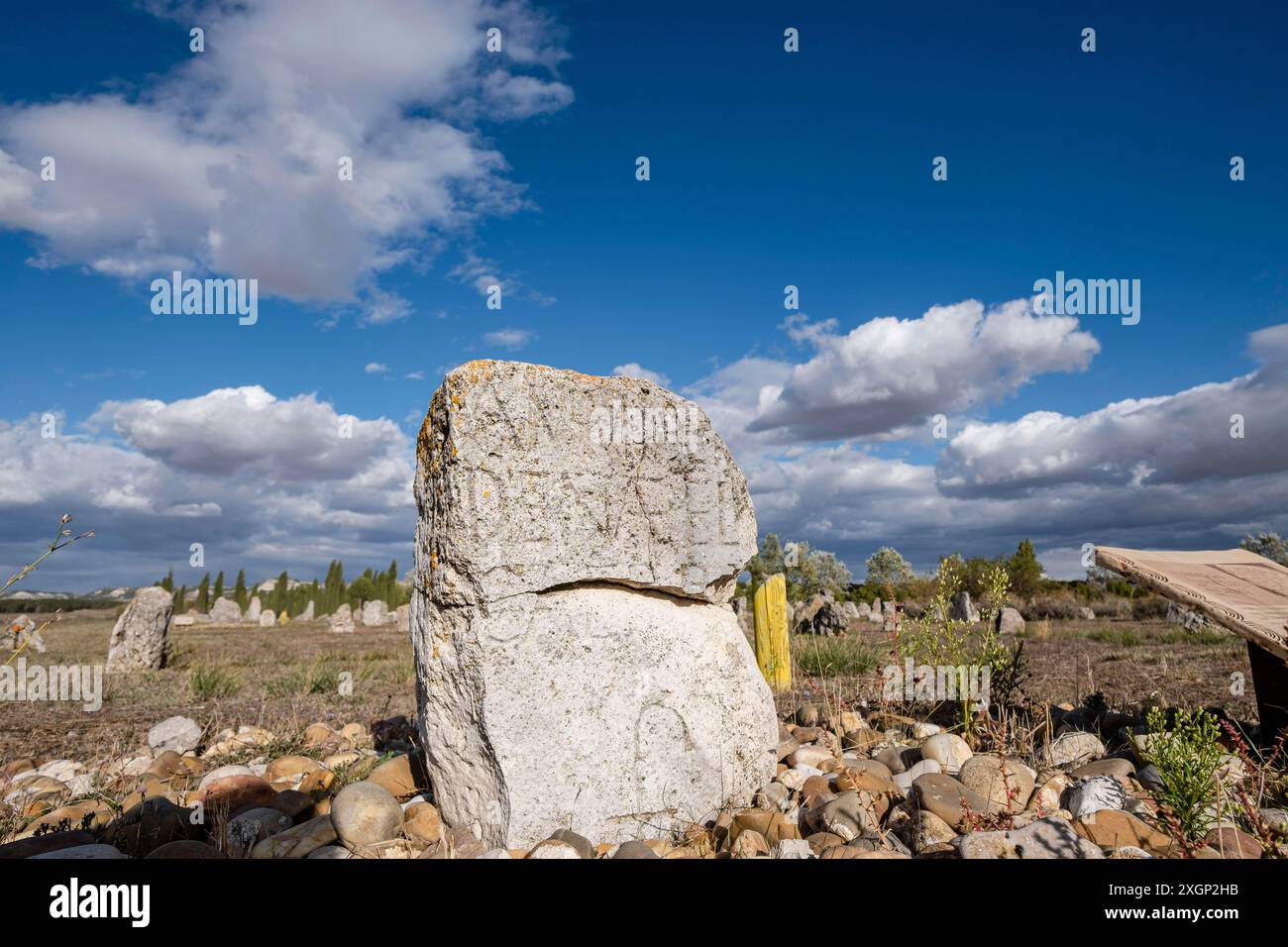 Stele funerarie di Vacceos, necropoli di Foto Stock