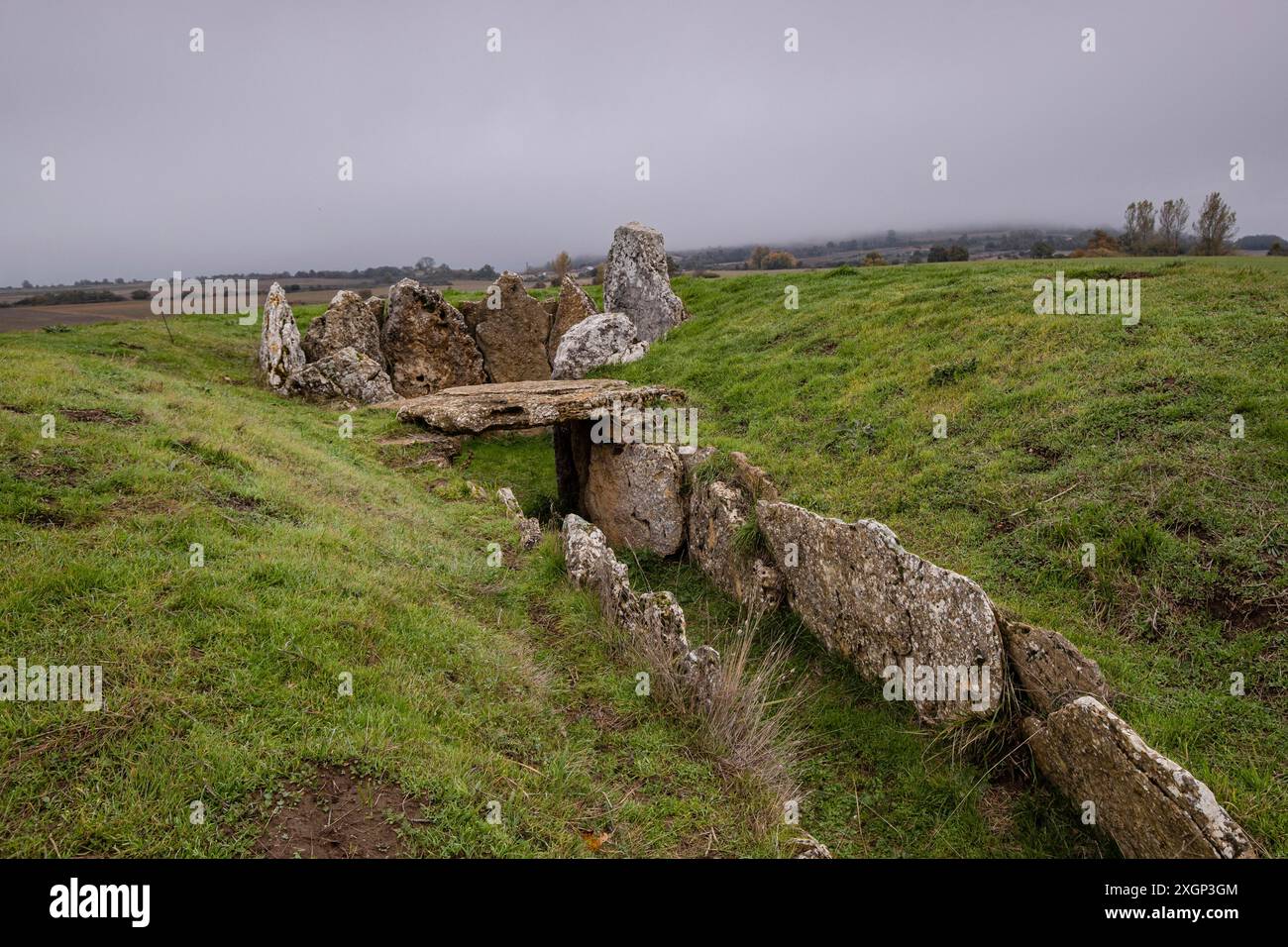 Dolmen del Cotorrita, camera di sepoltura neolitica, comune di Los Altos, Las Merindades, Burgos, Spagna Foto Stock