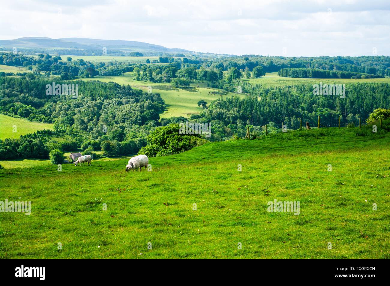 Vista sulla campagna della cumbria dal Vallo di adriano, vicino a brampton, cumbria Foto Stock