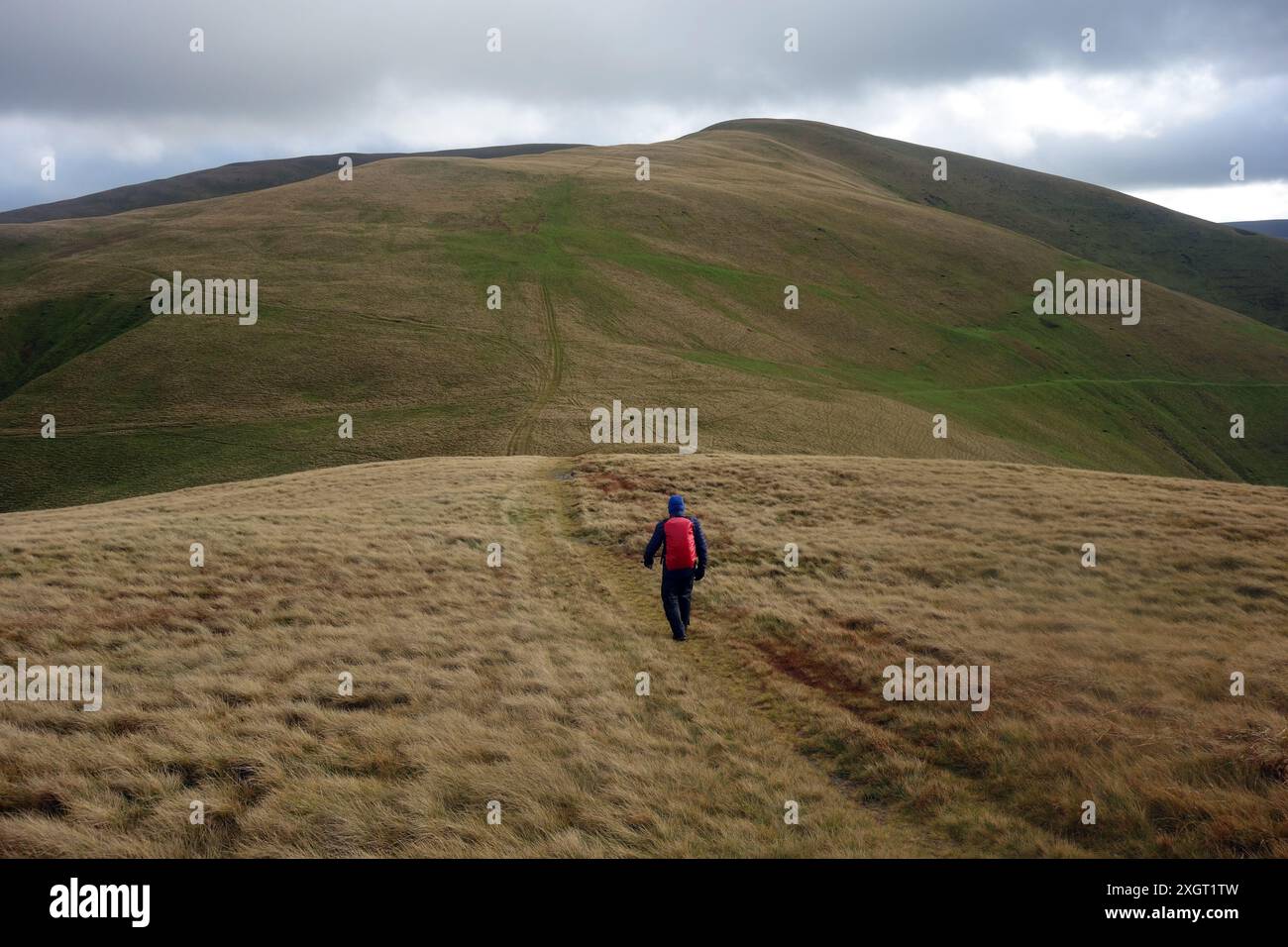 Lone Man Walking on a Grass Track in the Rain fino a "Fell Head", una delle colline di Howgill nello Yorkshire Dales National Park, Inghilterra, Regno Unito. Foto Stock