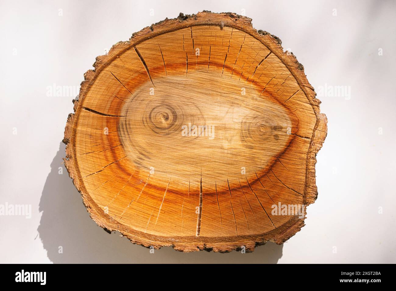 taglio a legna di albicocca con motivo a doppio nucleo Foto Stock