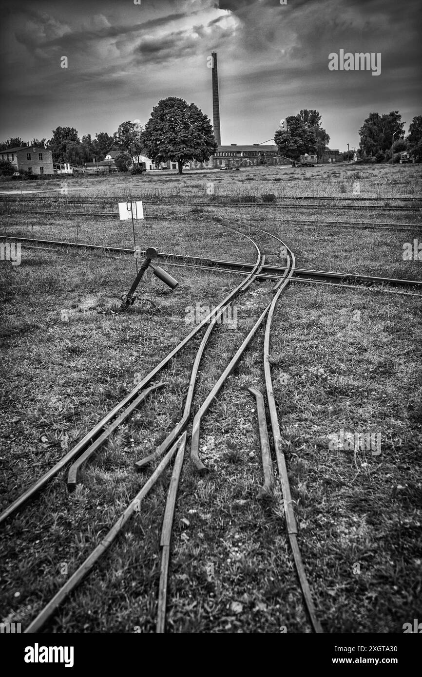 Mildenberg OT von Zehdenick im Landkreis Oberhavel im Bundesland Brandenburg, Industriedenkmal Ziegeleipark - 10.07.2024 Brandenburg *** Mildenberg OT von Zehdenick nel distretto di Oberhavel nello stato federale del Brandeburgo, monumento industriale Ziegeleipark 10 07 2024 Brandeburgo Foto Stock