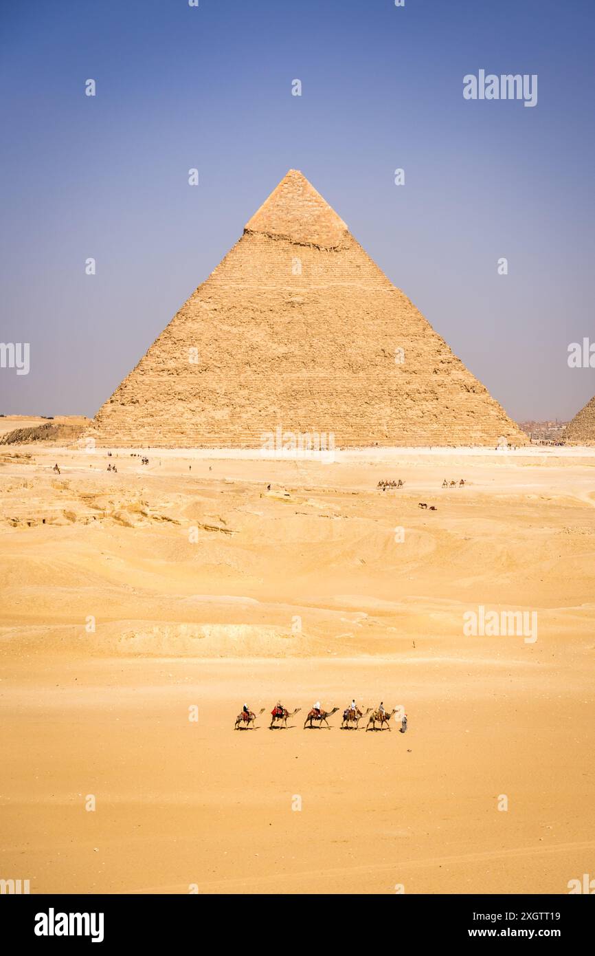 Carovana con cammelli di fronte alle piramidi di Giza Foto Stock