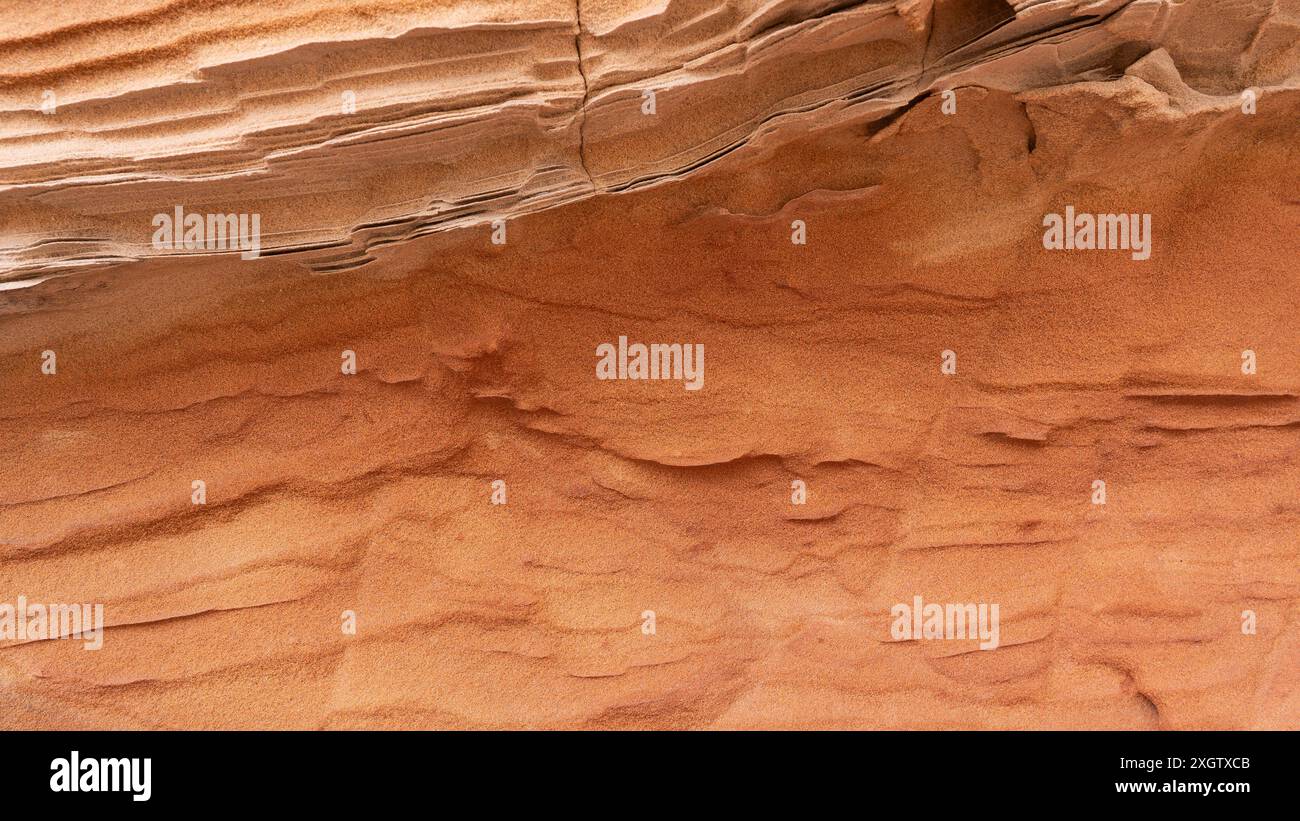Questa immagine cattura gli intricati dettagli e le texture stratificate di arenaria, una comune roccia sedimentaria che si trova negli ambienti desertici, la calda e terrosa t Foto Stock