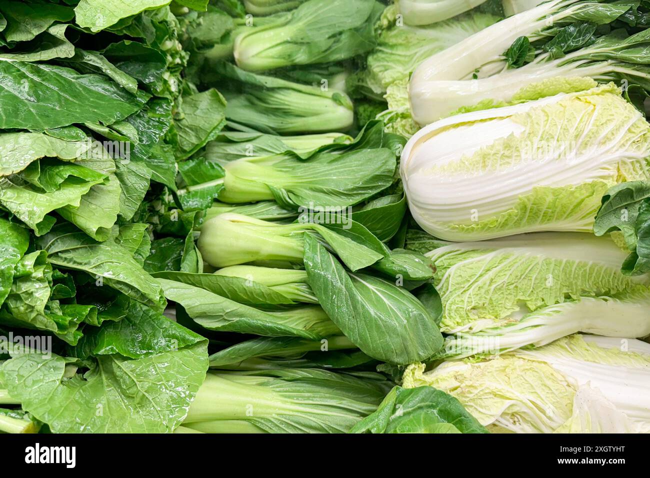 verdure a foglia verde fresche, tra cui cavolo di cavolo e cavolo napa, ordinate in una sezione dedicata ai prodotti Foto Stock