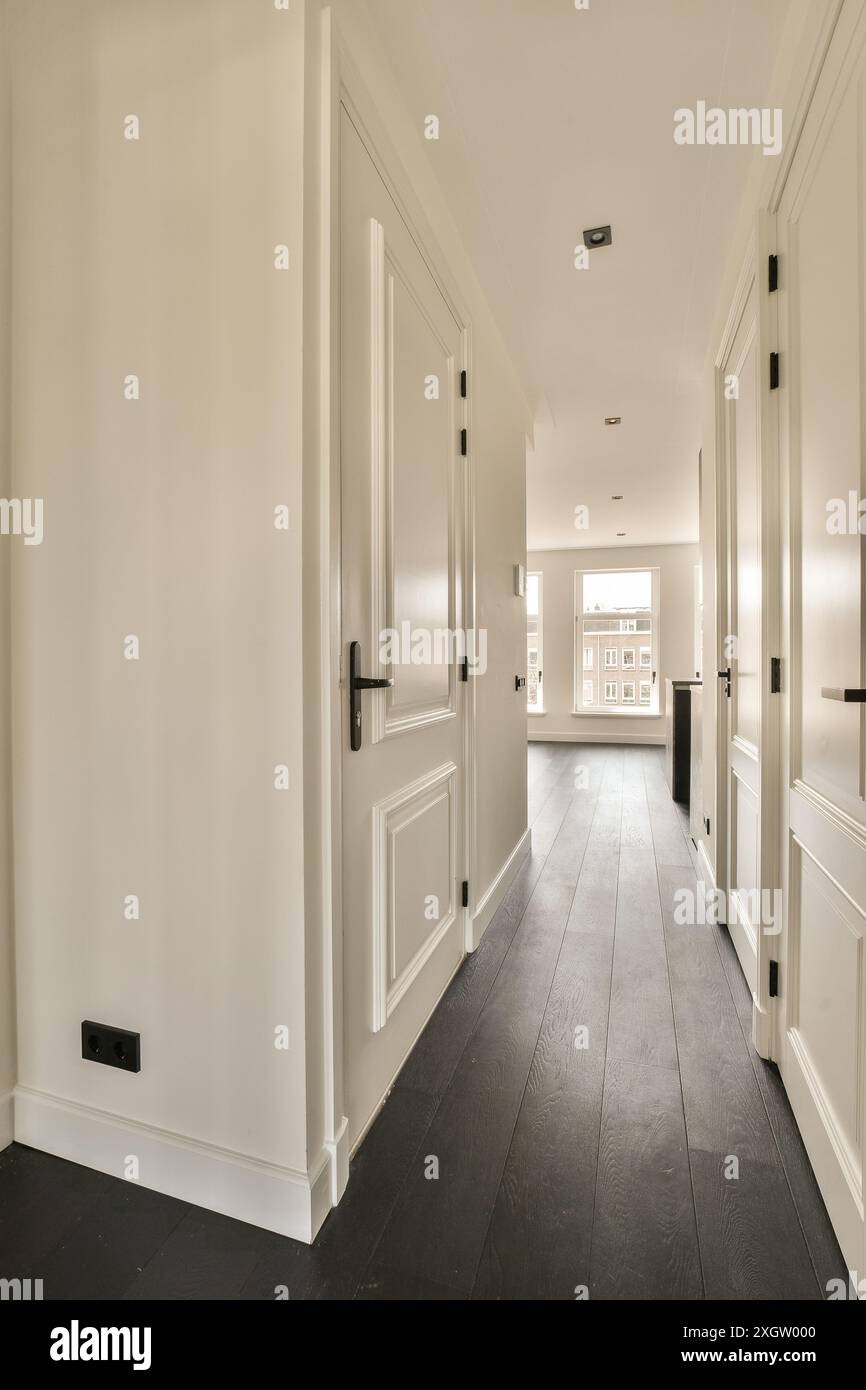 Interni moderni che presentano un corridoio ben illuminato con pavimenti in legno scuro e porte a pannelli bianchi. Foto Stock