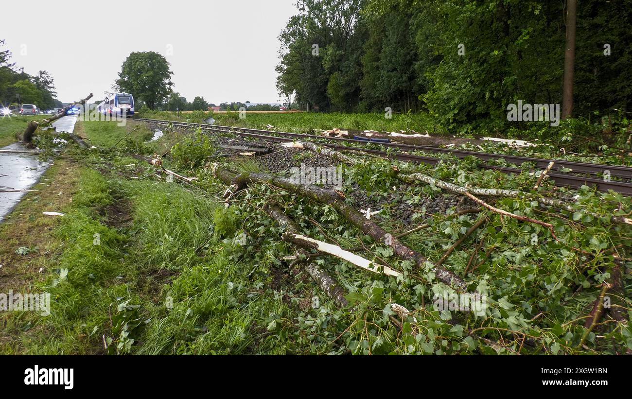 Eine breite Unwetterfront sorgt seit den Nachmittagsstunden für Chaos a Oberbayern. Besonders schlimm traf es Holzkirchen und Umgebung. Orkanböen und heftiger Starkregen sorgten hier für viele Schäden. Umgestürzte Bäume blockierten viele Straßen. Autofahrer halfen sich teilweise selbst, da die Rettungskräfte zu viele Einsatzstelle abarbeiten mussten. Der Starkregen und gesättigte Boden verursachte zudem Sturzfluten und Murenabgänge. Diese blockierten ebenfalls Straßen. A Holzkirchen kamen Feuerwehren aus anderen Gemeinden zum Einsatz. Nahezu an jeder Straßenecke liegen umgekippte Bäume. Ein Foto Stock