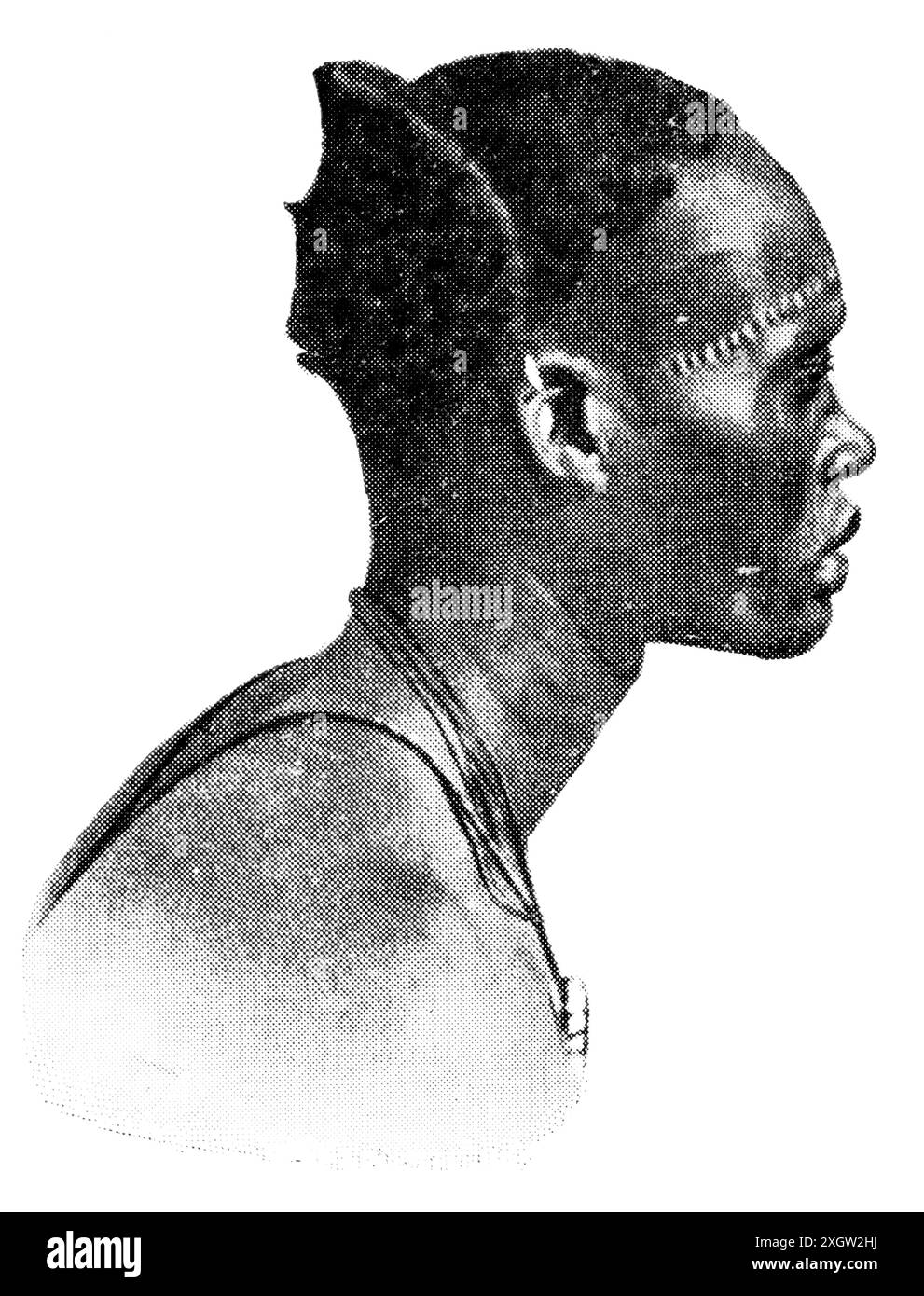 Popoli africani. Lo Shilluk (Chollo) è un importante gruppo etnico Luo Nilotico che risiede nel Sudan del Sud. Foto Stock