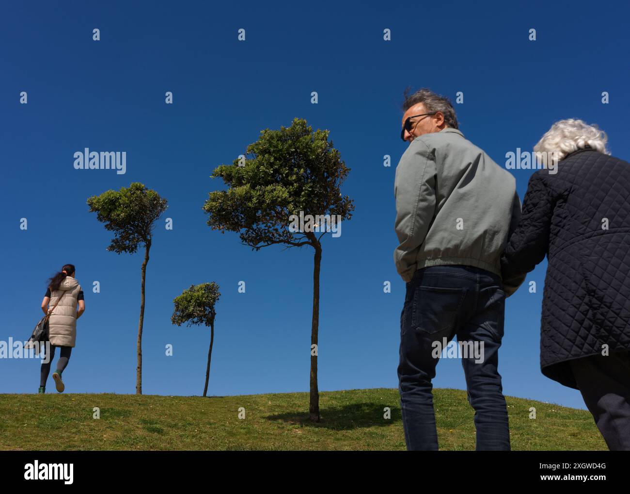 Tre persone che camminano accanto a tre alberelli che mostrano la direzione di crescita influenzata dai continui venti costieri. Foto Stock