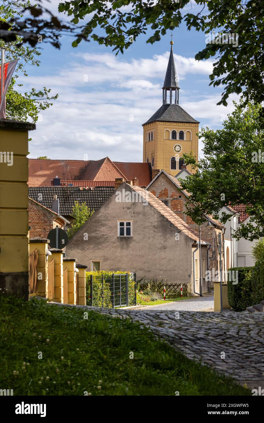 Paesaggio urbano di Jessen (Elster) con vista sulla chiesa di Saint Nicolai, città sul fiume Black Elster nel distretto di Wittenberg, Sassonia-Anhalt, Germania, Europa Foto Stock