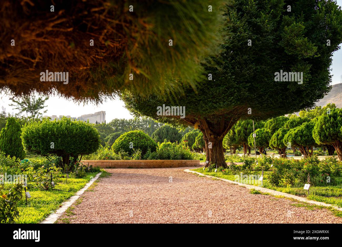 Giardino storico ERAM, Shiraz, Iran. Foto Stock