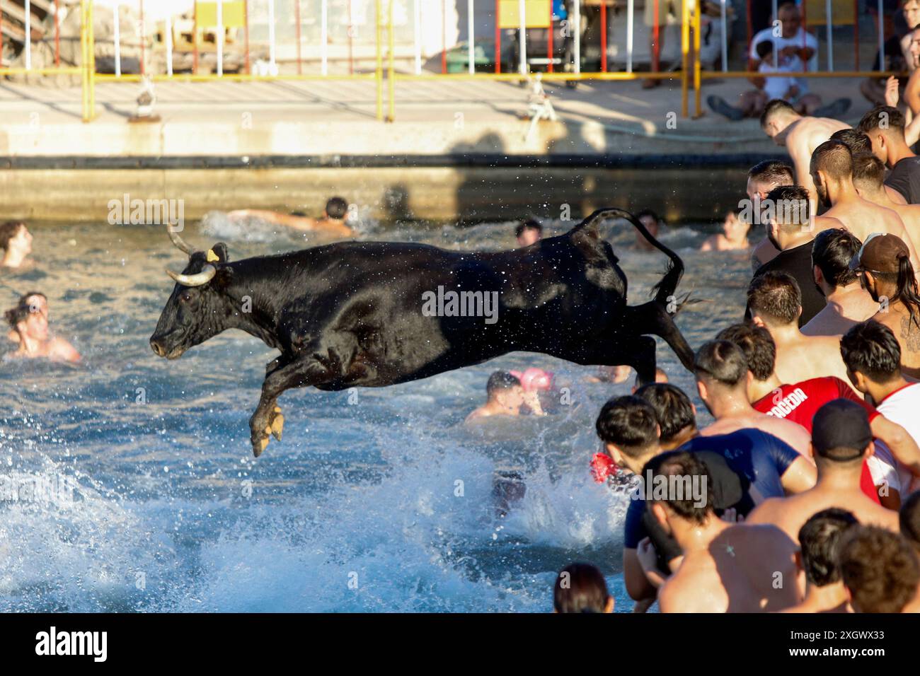 Denia, Alicante Spagna. 10 luglio 2024. Un toro salta in mare durante il festival Bous a la Mar a Deniaor Bulls to the Sea a Denia, Credit Eduardo Ripoll. Foto Stock