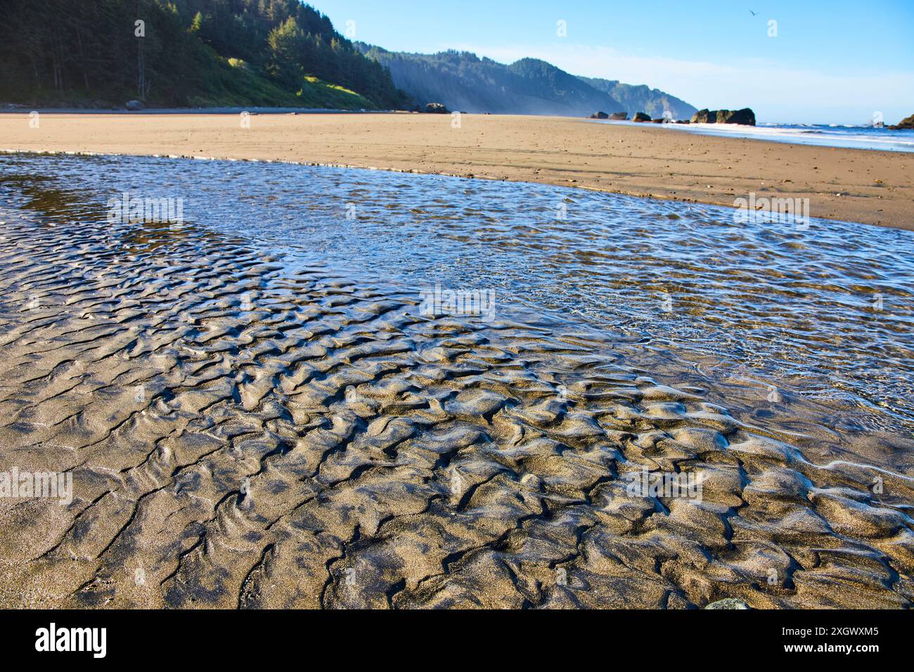 Motivi di sabbia ondulata sulla spiaggia di Whaleshead con colline boscose sullo sfondo Foto Stock
