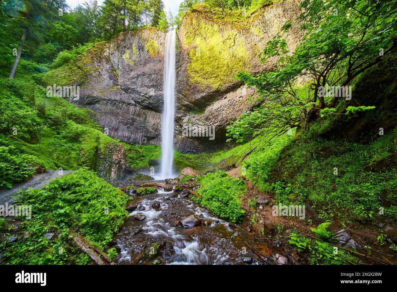 Le maestose cascate Latourell si affacciano sulla lussureggiante scogliera verso l'alto Foto Stock
