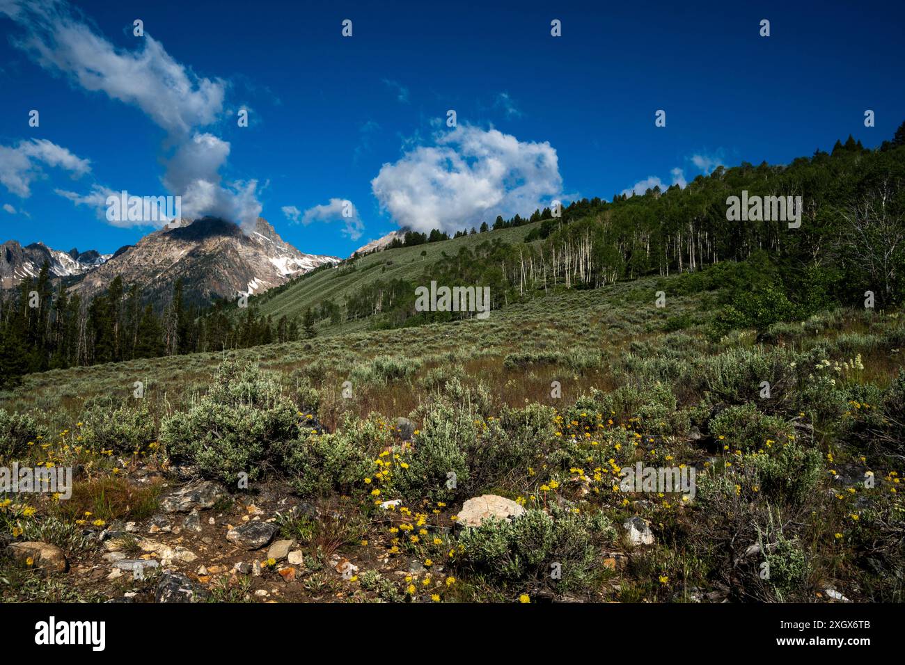 Williams Peak dal Sawtooth Forest's Marshall Lake Trail, Idaho. Foto Stock