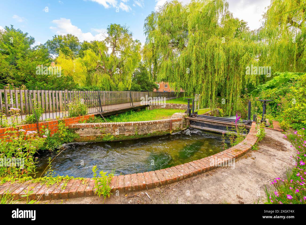 Vista da The Weirs, un pittoresco sentiero sul lungomare lungo il fiume Itchen attraverso un'area parklike della città medievale di Winchester, in Inghilterra. Foto Stock