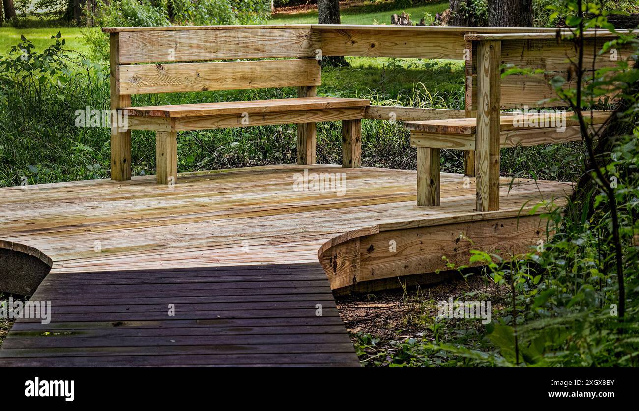 Due panchine in legno appena installate su una passerella paludosa sono state fotografate dopo una tempesta di pioggia. Il legno è bagnato dalla recente pioggia. Foto Stock