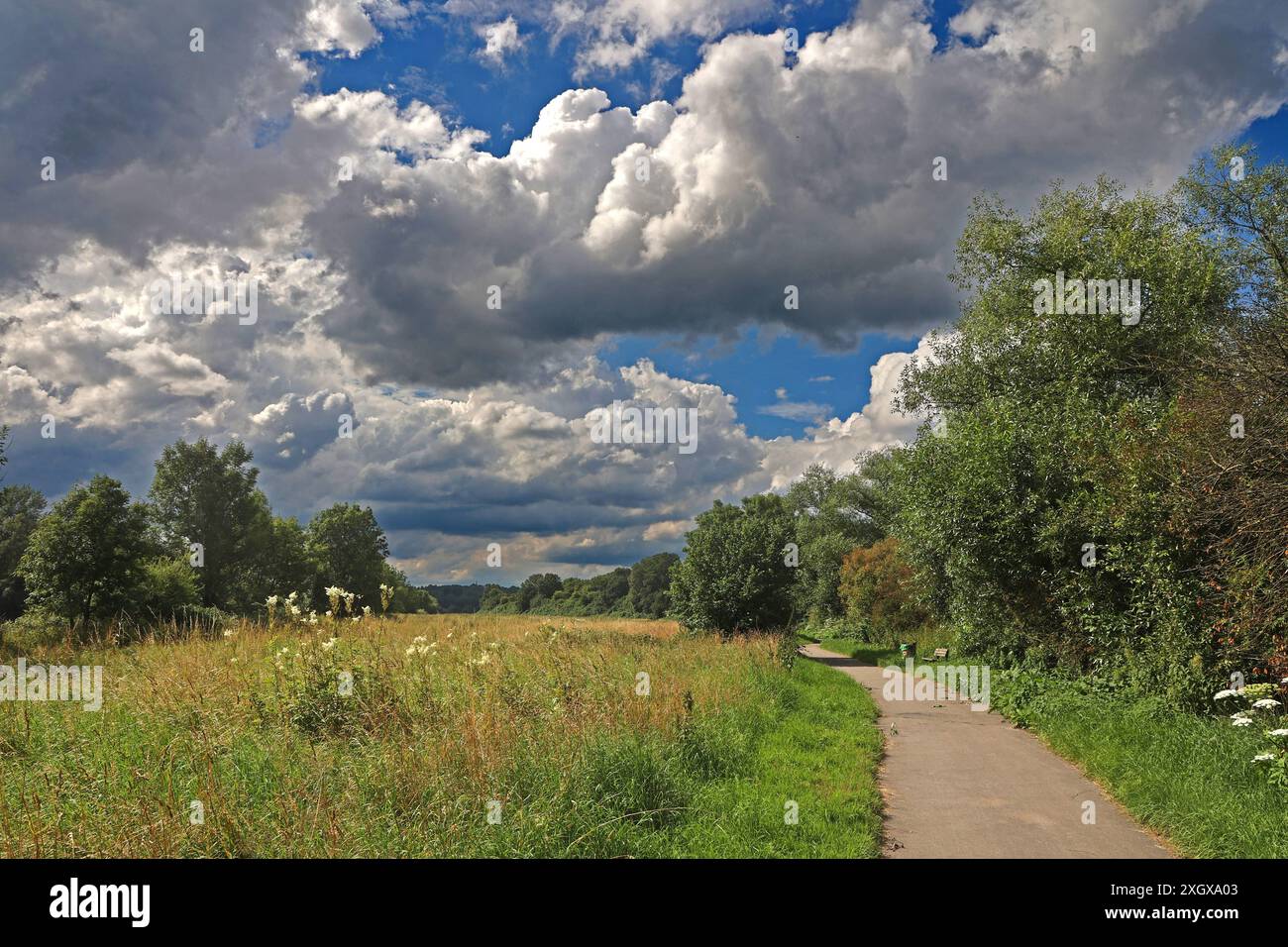 Natur in Ballungsräumen Grünland mit Büschen und Wald im sommerlichen Essener Ruhrtal unter Einwirkung von Hitze und Trockenheit im Wechsel mit unbeständigem Wetter. Essen Nordrhein-Westfalen Deutschland *** natura nelle aree urbane prati con arbusti e foreste nella valle della Ruhr ad Essen in estate sotto l'influenza del calore e della siccità alternati a condizioni meteorologiche instabili Essen Renania settentrionale-Vestfalia Germania Foto Stock