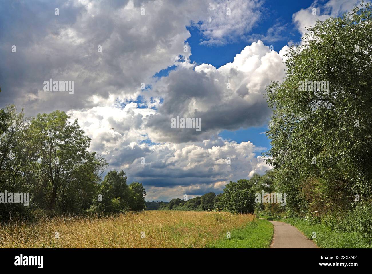 Natur in Ballungsräumen Grünland mit Büschen und Wald im sommerlichen Essener Ruhrtal unter Einwirkung von Hitze und Trockenheit im Wechsel mit unbeständigem Wetter. Essen Nordrhein-Westfalen Deutschland *** natura nelle aree urbane prati con arbusti e foreste nella valle della Ruhr ad Essen in estate sotto l'influenza del calore e della siccità alternati a condizioni meteorologiche instabili Essen Renania settentrionale-Vestfalia Germania Foto Stock