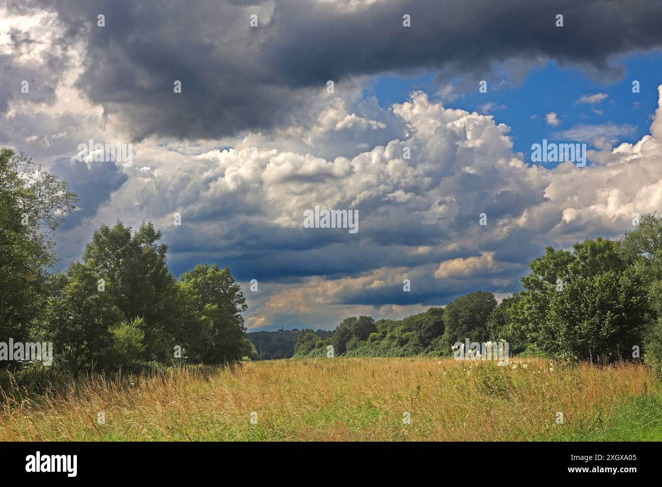 Natur in Ballungsräumen Grünland mit Büschen und Wald im sommerlichen Essener Ruhrtal unter Einwirkung von Hitze und Trockenheit im Wechsel mit unbeständigem Wetter. Essen Nordrhein-Westfalen Deutschland *** natura nelle aree urbane prati con arbusti e foreste nella valle della Ruhr ad Essen in estate sotto l'influenza del calore e della siccità alternati a condizioni meteorologiche instabili Essen Renania settentrionale-Vestfalia Germania Foto Stock