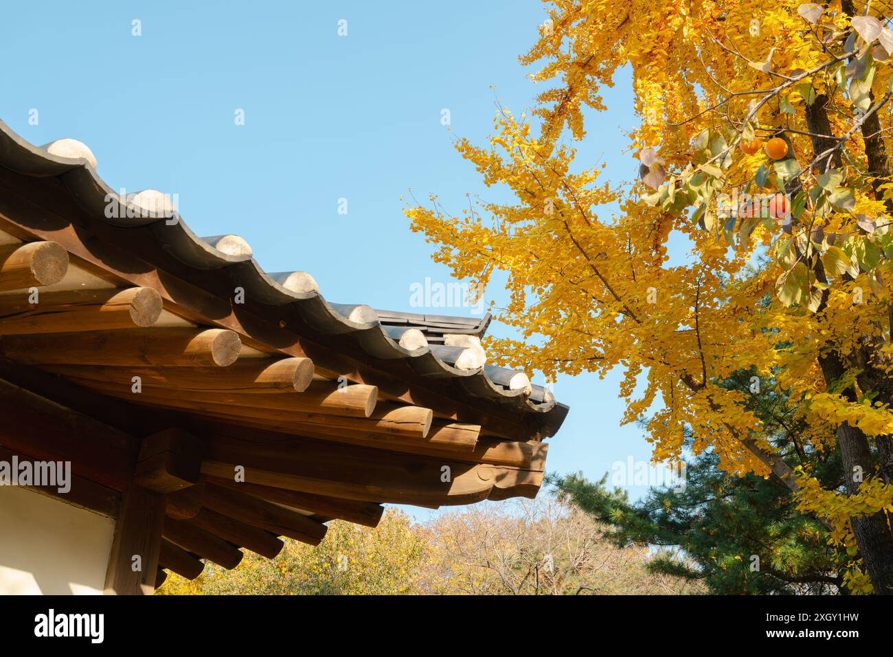 Architettura tradizionale e foglie autunnali a Seolleung e alle Tombe reali di Jeongneung a Seoul, Corea Foto Stock