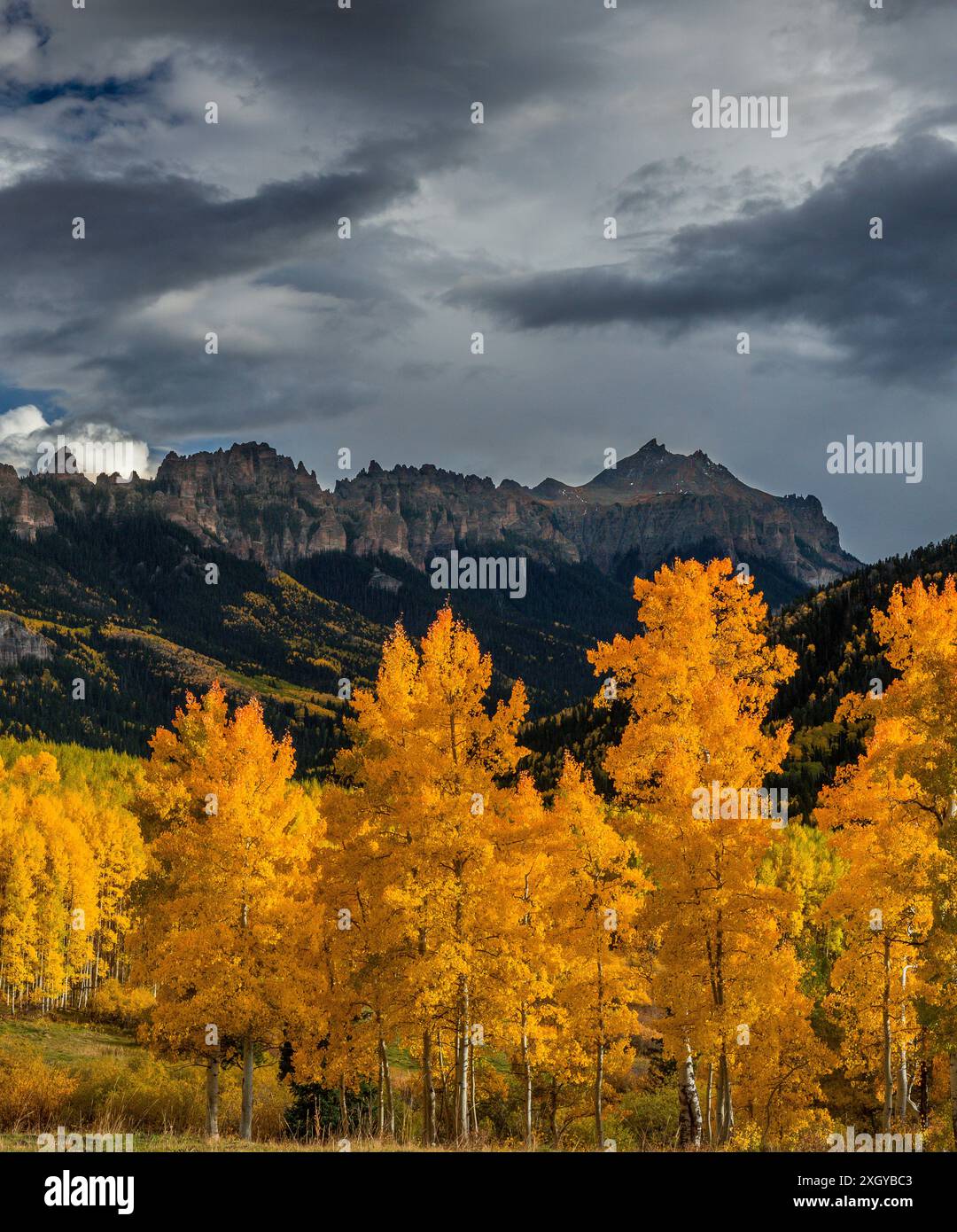 Avvicinando la tempesta, Aspens, Cimarron Ridge, Precipizio picco, Uncompahgre National Forest, Colorado Foto Stock