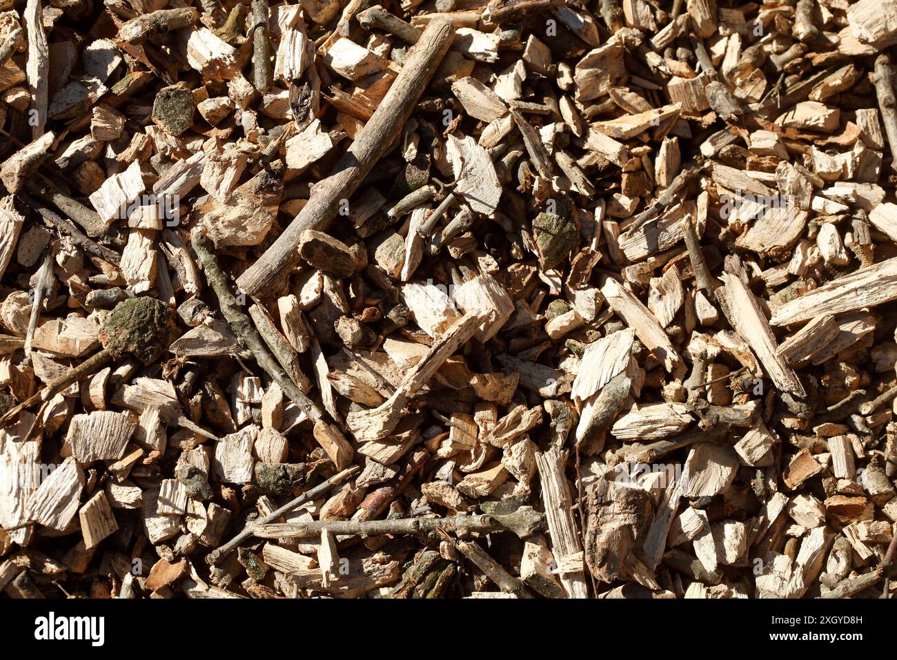 Trucioli di legno, trucioli di legno, pacciame di corteccia, rivestimento del pavimento, carta da parati Foto Stock