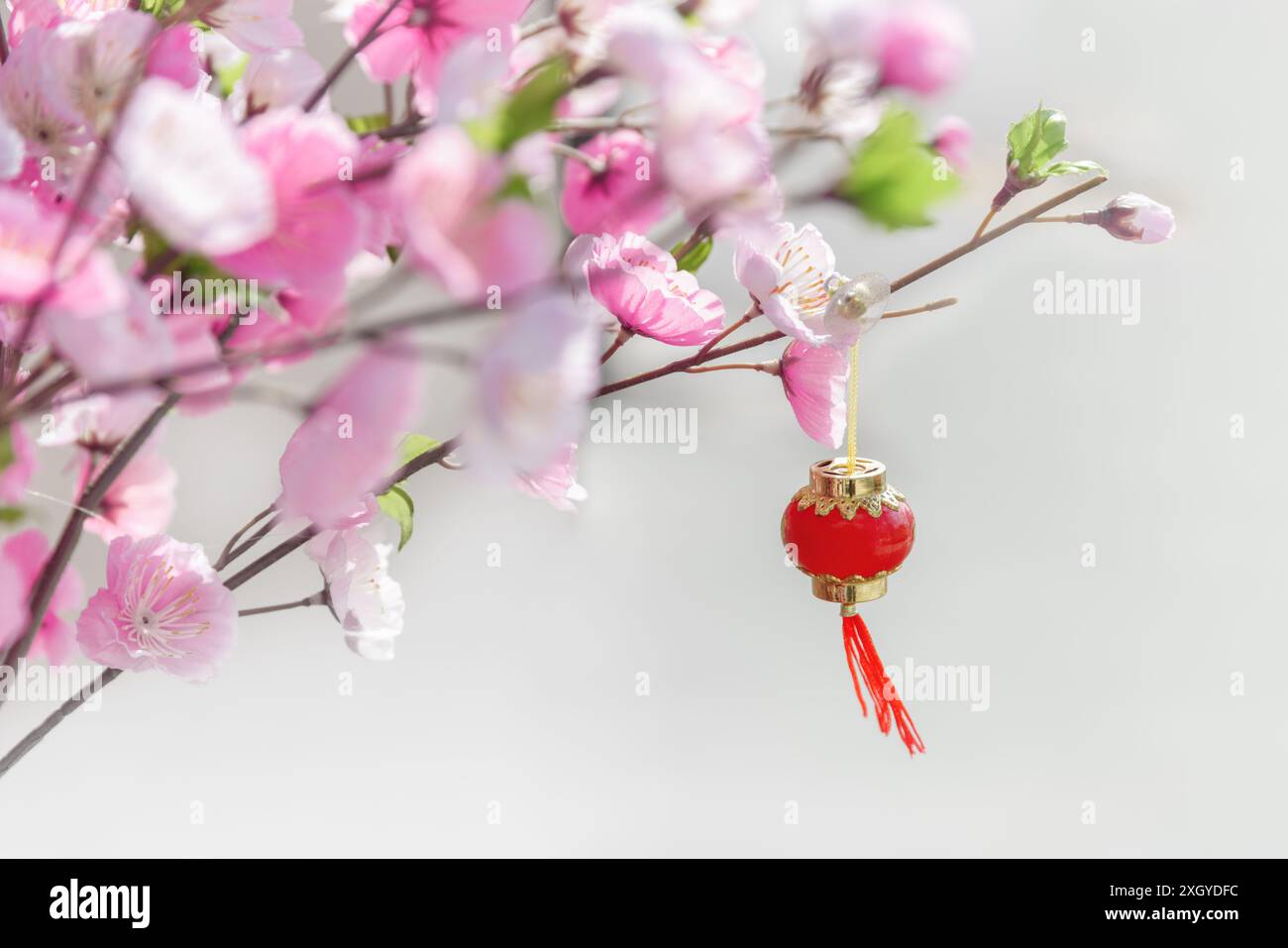 Bellissimo albero di ciliegio artificiale in fiore e lanterna rossa cinese orientale sul ramo. Decorazione tradizionale asiatica. Fiori rosa e bianchi di Sakura. Foto Stock